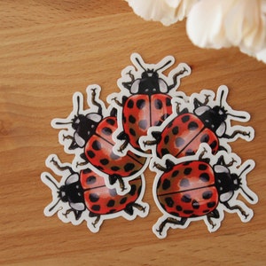 Sticker set beetles, ladybugs, 5 pieces, stickers image 3
