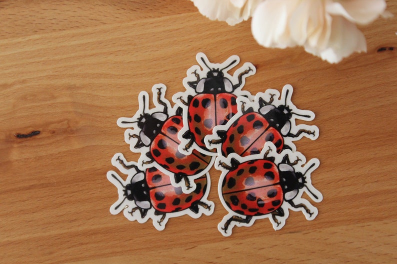 Sticker set beetles, ladybugs, 5 pieces, stickers image 3