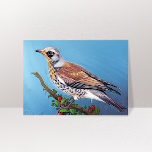 Karte Vogel Drossel, Postkarte, Grußkarte A6