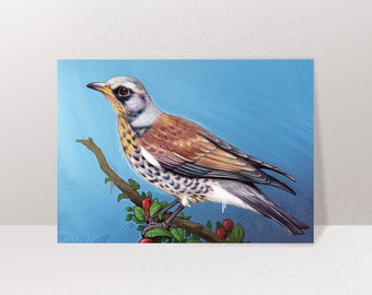 Card bird thrush, postcard, greeting card A6