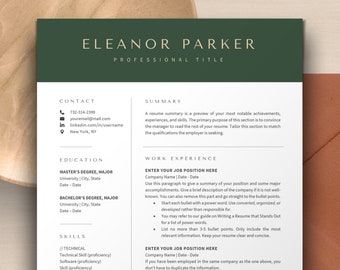 Modern Executive Resume Template Google Docs, Apple Pages Resume CV Template Word | Professional Modern Resume, HR Manager Resume, IT Resume