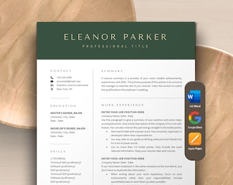 Modern Executive Resume Template Google Docs, Apple Pages Resume CV Template Word | Professional Modern Resume, HR Manager Resume, IT Resume
