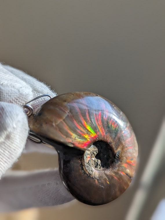 Amazing unique fossil snail on sterling wire