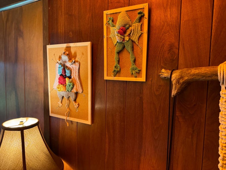 Crochet Frog Dissection - Australia - View #3