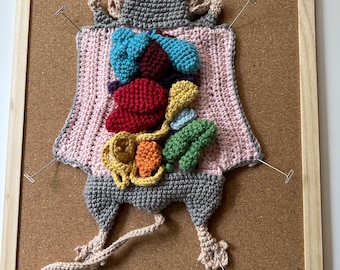 May include: A crocheted anatomical model of a rat with its internal organs exposed. The organs are crocheted in different colors, including red, blue, green, yellow, and orange. The rat is pinned to a corkboard with silver pins.
