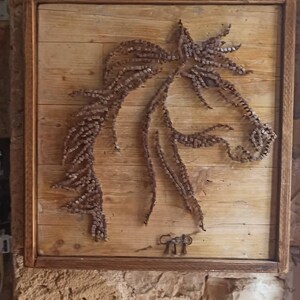 Imagem de cavalo com unhas de cavalo