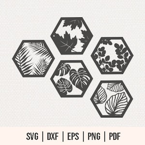 May include: Set of six black hexagonal wall decals with different leaf designs. Each decal features a unique pattern of leaves, including maple leaves, palm leaves, and monstera leaves.