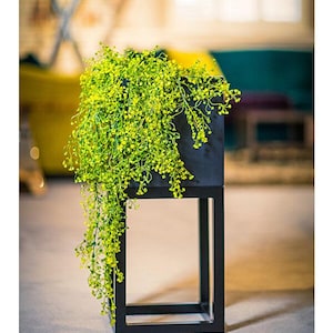 Metal Decorative Flower Pot, Footed Metal Planter, Stylish Garden Decor, Home Living Room Decoration, Housewarming Gift, Indoor Plant Holder