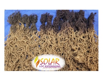 Ombre Human Hair Loc Extensions, Natural Curly Ends, Handmade SolarLocs™