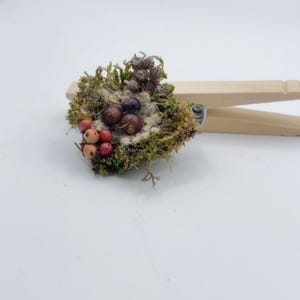 Acorn cap nests, set of 2