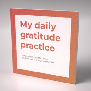 May include: A small, orange and white journal with the text "My daily gratitude practice" and "A little place to write down all of the good things in your life."