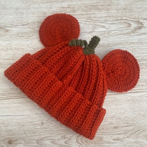 May include: A crocheted pumpkin hat with a green stem and orange yarn. The hat has two large ear-like flaps.
