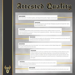 a black and gold resume with a gold border