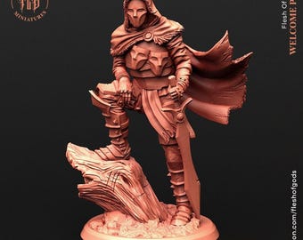 D&D Assassin / Rogue Pathfinder Miniature | RPG Model | High Order Assassin by Flesh Of Gods