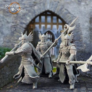 D&D Elite Kings Guard / Modello RPG / Kings Guard di The Printing Goes Ever On