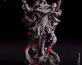 Mago nigromante no muerto de D&D/ Hechicero necrótico/ Modelo de rol/ Tebeo, hechicero no muerto/ Carne de los dioses