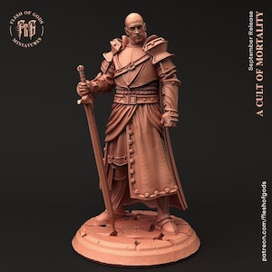 D&D Knight / Paladin / Cleric Pathfinder Miniature | RPG Model | Knight Lord from the A Cult of Mortality Collection by Flesh Of Gods