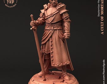 D&D Knight / Paladin / Cleric Pathfinder Miniature | RPG Model | Knight Lord from the A Cult of Mortality Collection by Flesh Of Gods