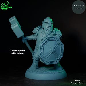 D&D Dwarf Paladin / Fighter | RPG Model | Dwarf Soldier | By TPK LAB