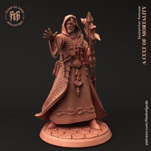 D&D-wizard / tovenaar / verkennerminiatuur | RPG-model | Mannelijke tovenaar uit de A Cult of Mortality-collectie van Flesh Of Gods