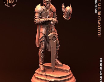 D&D Knight / Paladin / Fighter / Cleric Miniature | RPG Model | Holy Knight Hero from the Hallowed be thy Evil Collection by Flesh Of Gods