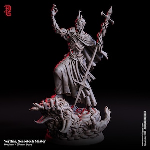 May include: A grey resin miniature figure titled Veythar, Necrotech Master, standing on a 25 mm base. The figure features a humanoid character with a pointed crown, wearing a tattered cloak and armour, holding a staff, and posed atop a mass of organic, eye-covered flesh.