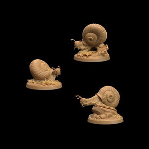 D&D Snail Monsters | RPG Model | Small Snails by Dragon Trappers Lodge