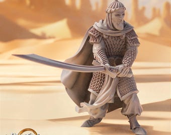 D&D Wüstenkämpfer veteran | Rollenspielmodell | Arash, Emir von Scimitars | von The Drucken geht Ever On