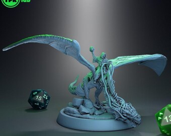 D&D Young Dragon con jinete mago / Modelo RPG / Ereban montado en dragón por TPK LAB