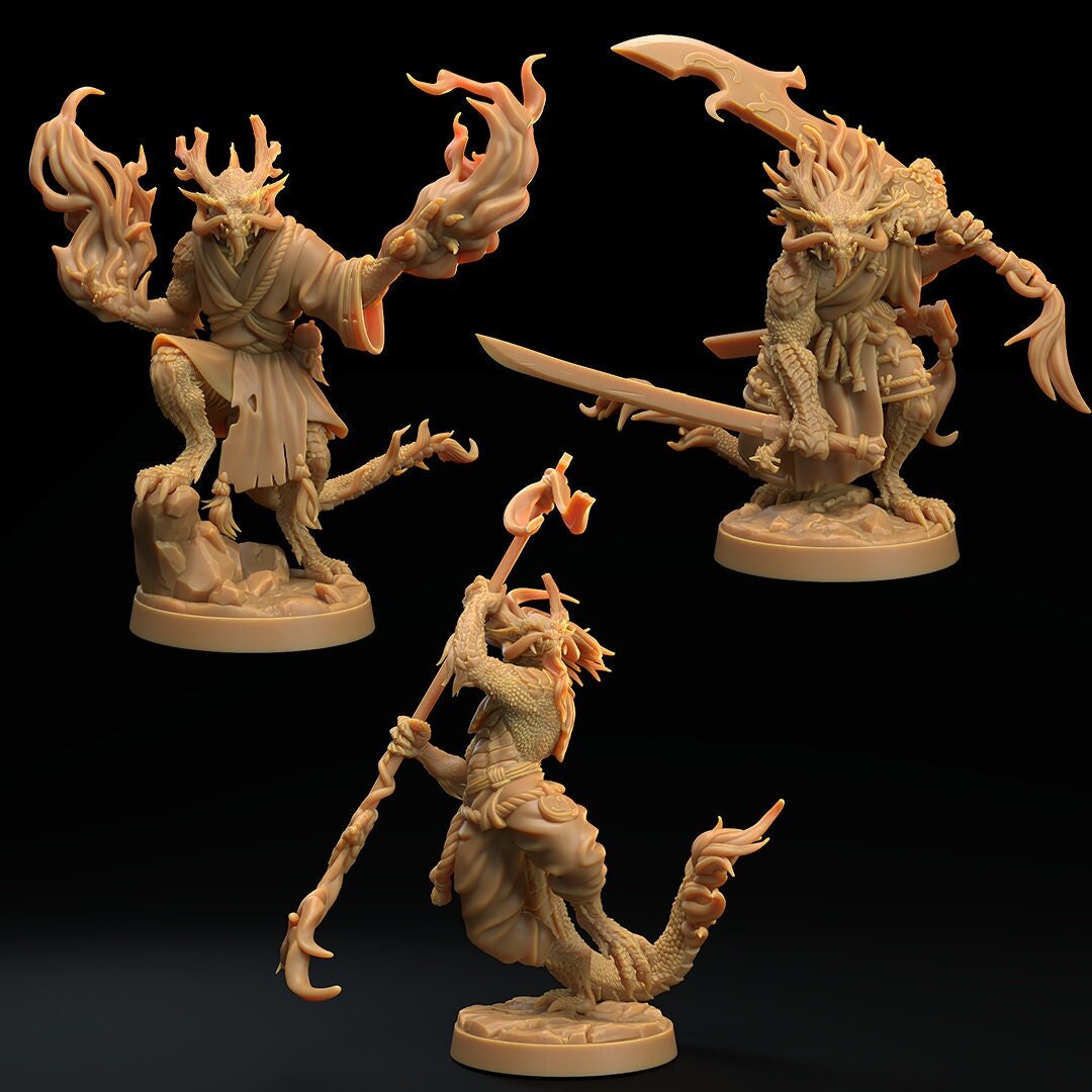 D&D Dragonborn Monk, Fighter, Sorcerer RPG Model by Dragon Trappers