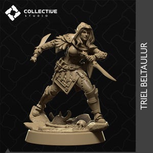 Elfa Pícara/Asesina de D&D / Modelo de rol / Triel Beltaulur / por Collective Studio imagen 1