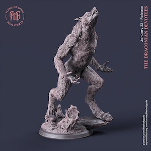 Miniatura de hombre lobo de D&D / Modelo de juego de rol / Hombre lobo de Flesh Of Gods