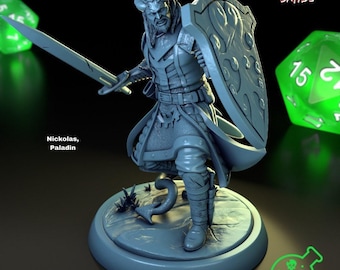 D&D Tiefling Paladin / Cleric | RPG Model | Nickolas By TPK LAB