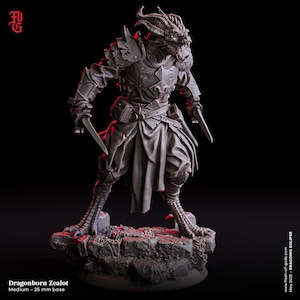 D&D Dragonborn Assassin | RPG Model | Dragonborn Zealot | Flesh Of Gods