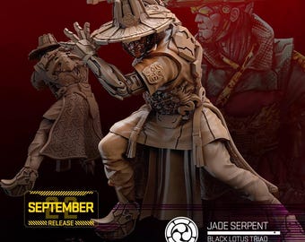 Cyberpunk Japanese Cyber-Samurai | RPG Model | Jade Serpent by Unit9