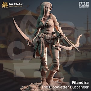 D&D Female Rogue Swashbuckler | RPG Model | Filandira - Bloodletter Bucanner | by DM Stash