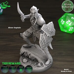 D&D Elven Paladin / Kämpfer | Rollenspielmodell | Elbenhauptmann | Von TPK LAB