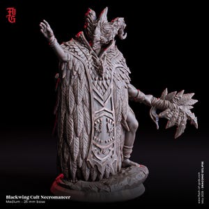 D&D Raven Druid / Circle of Spores | RPG Model | Blackwing Cult Necromancer | Flesh Of Gods
