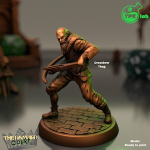 D&D Grizzled Ranger / Assassin | RPG Model | By TPK LAB