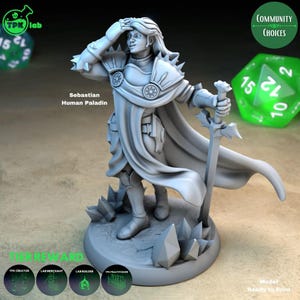 D&D Sebastian, Human Paladin | RPG Model | Sebastian, Human Paladin | By TPK LAB