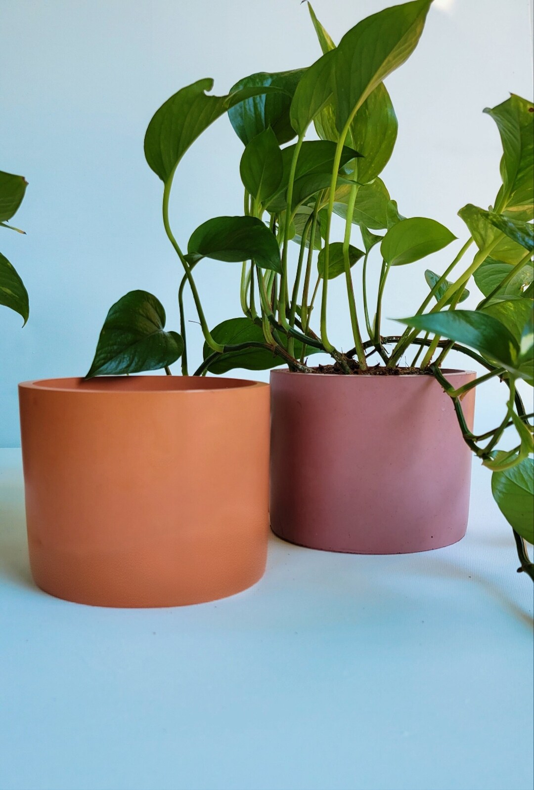 Plant Pot With Drainage Plate 6 Inch Concrete Planter Optional Drainage