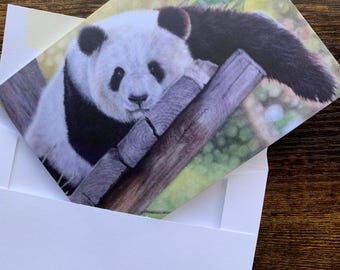 Panda color pencil note cards: blank cards on recycled paper