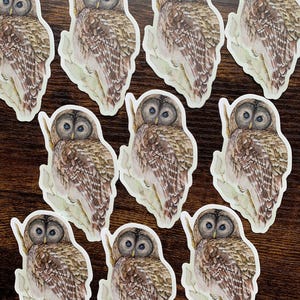 Sticker chouette rayée, chouette rayée, aquarelle de chouette rayée, sticker chouette, oiseaux de nuit, hiboux, scrapbooking, autocollants, autocollants oiseaux, cadeau d'amant de hibou