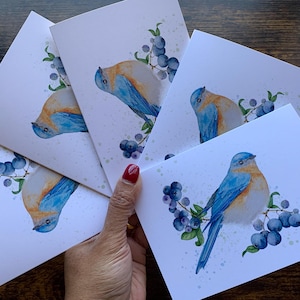 Bluebird, cartes de voeux bluebird, cartes de voeux, oiseaux de basse-cour, cartes d'oiseaux, cartes de nouvel an, cartes vierges, cartes de remerciement, cartes de sympathie