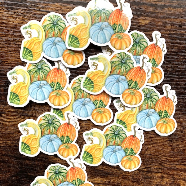 Pumpkin stickers, gourds, fall stickers, autumn, Halloween stickers, scrapbooking stickers, watercolor stickers, pumpkins and gourds, art