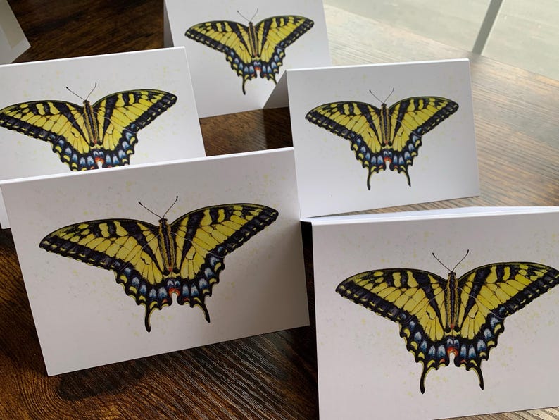 Eastern Tiger Swallowtail Butterfly Notecard: Blank Cards on Recycled ...