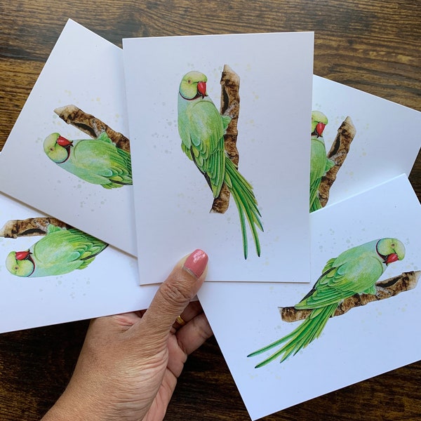 Parakeet cards, parrot greeting cards, parrot , note cards, blank cards, tropical birds, cards, thank you cards, note card, parrot art, card