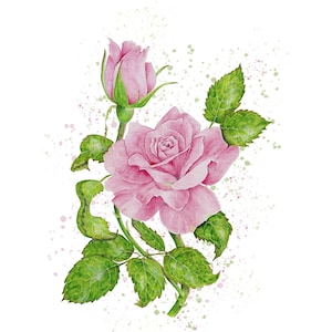 Pink Rose Watercolor Painting: Floral Wall Art Print