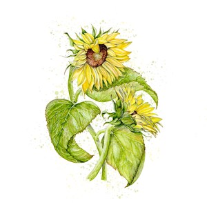 Sunflowers painting, sunflower watercolor painting print, wall decor, flower wall decor, art lover gift, Mother’s Day gift, sunflowers, art