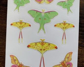Moth sticker sheet- watercolor art weatherproof vinyl stickers